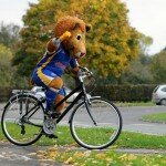 Shrewsbury Town Football Club Image 2